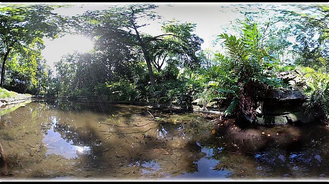 Exhale XR - Soul Shine