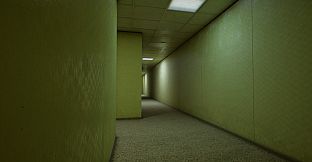 Backrooms of Reality