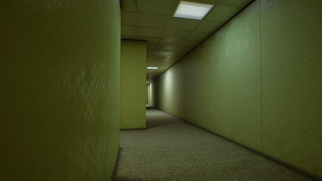 Backrooms of Reality