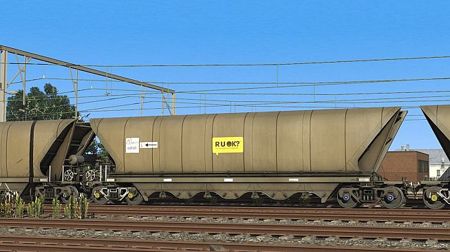 Trainz 2019 DLC - NSW Bradken 120T Coal Hopper Mega Pack