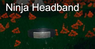 Hide and Seek - Ninja Headband