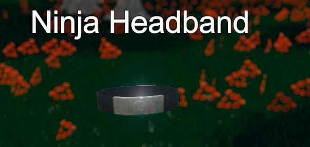 Hide and Seek - Ninja Headband