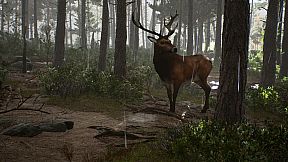 Nowhere: Mysterious Artifacts