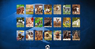 Puppy Dog: Jigsaw Puzzles