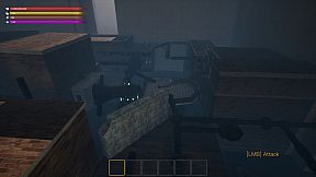 The Maze Survivor: The 9th Entrants