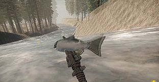 Missing Plane: Survival