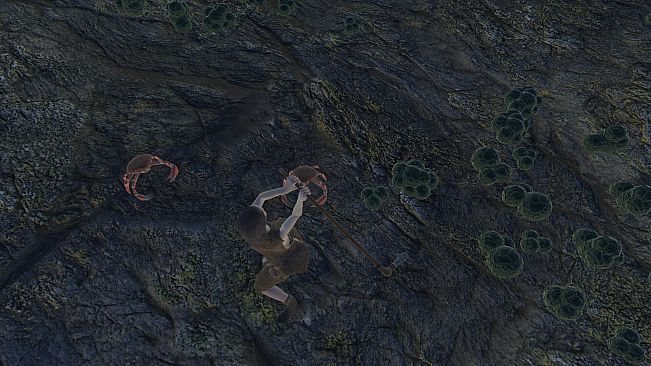 Skara