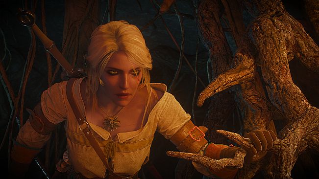 The Witcher 3: Wild Hunt Remastered
