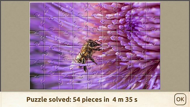 House of Jigsaw: Beautiful Flowers