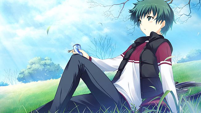 WHITE ALBUM: Memories like Falling Snow