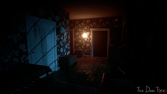 The Dark Tones: Loss