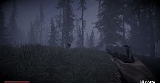 Horror in the forest