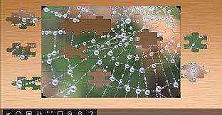 Jigsaw Puzzle World - Arachnids