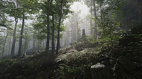 Mushroom Collector Simulator