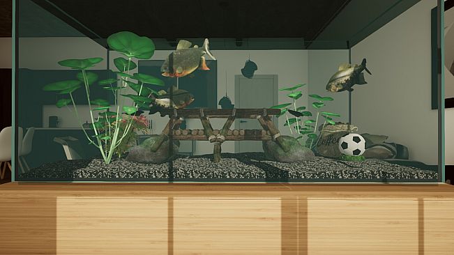 Aquarium Designer - Amazonia