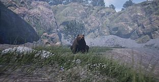 Wojtek: A Soldier Without a Uniform