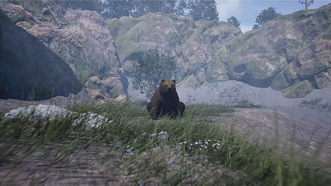 Wojtek: A Soldier Without a Uniform