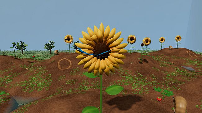 From a Single Seed