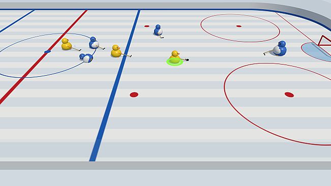 Bird Hockey League