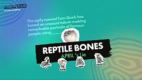The Jackbox Party Quintpack 2.0