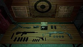 Dead Land: Polygon VR