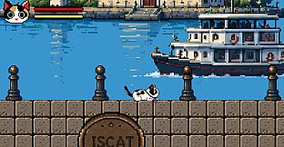 Catstanbul
