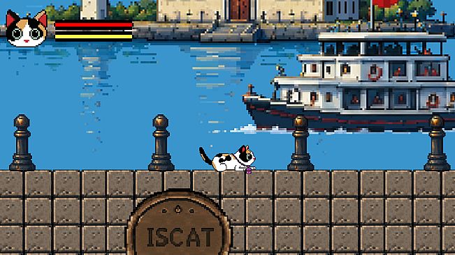 Catstanbul