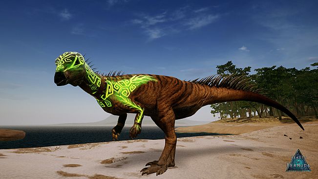 Beasts of Bermuda - Oryctodromeus Supporter Warpaint