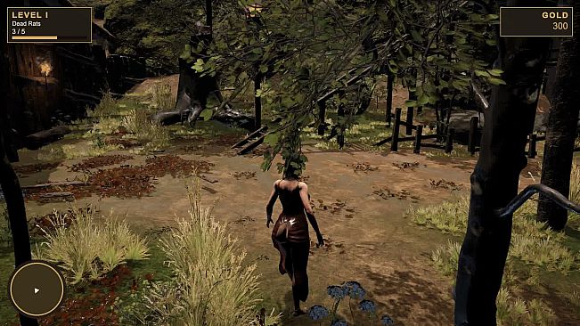 Catch the Witch
