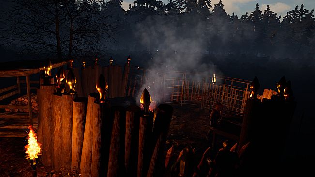 88 NIGHTS IN THE FOREST