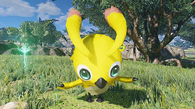 PSO2:NGS - Beginners! Rappy Pack