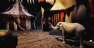 At Night : Freakshow