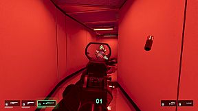 They Killed Your Cat