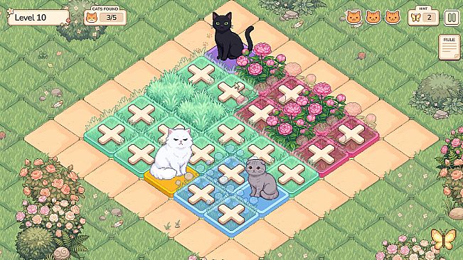 Purr in Bloom