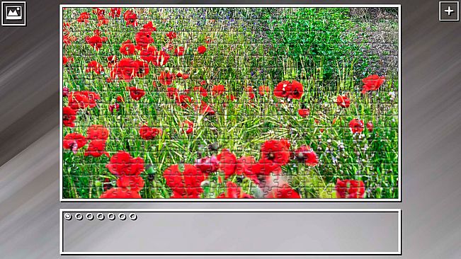 Super Jigsaw Puzzle: Generations - Flowers 2