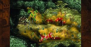 Cultures - Northland