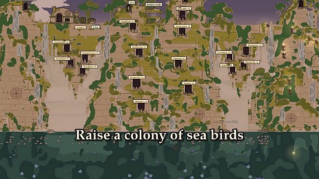 Birds Go Fishing