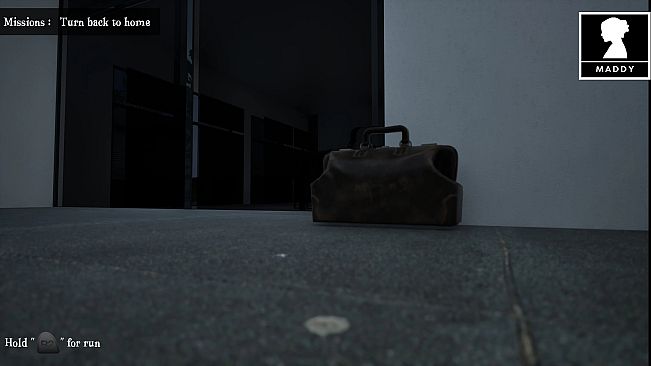 Quiet Evidence: A Detective Mystery Case