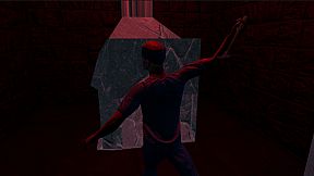 Twelve Mental Patients