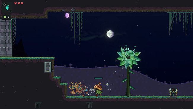 Wilderwake