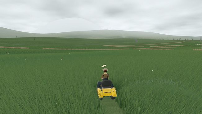 Slow Mowing