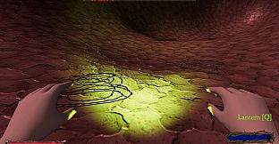 Fleshwalk: An Experience