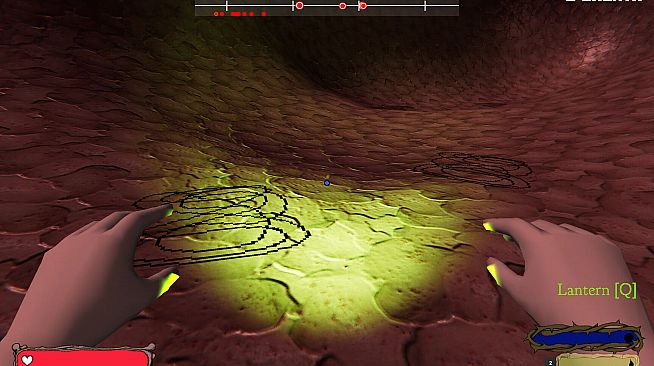 Fleshwalk: An Experience