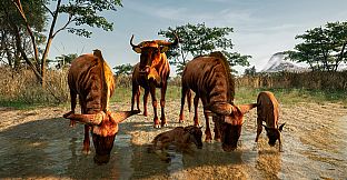 Animalia New African Skins