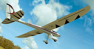 RealFlight Evolution - E-flite Conscendo 2.0m
