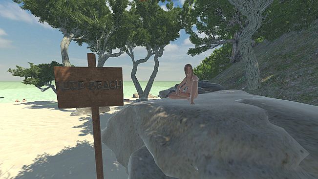 Nudity Beach Simulator 2025
