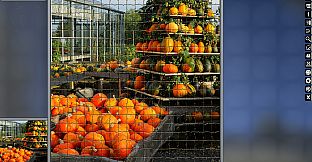 Jigsaw Puzzle Pack - Pixel Puzzles Ultimate: Autumn 2