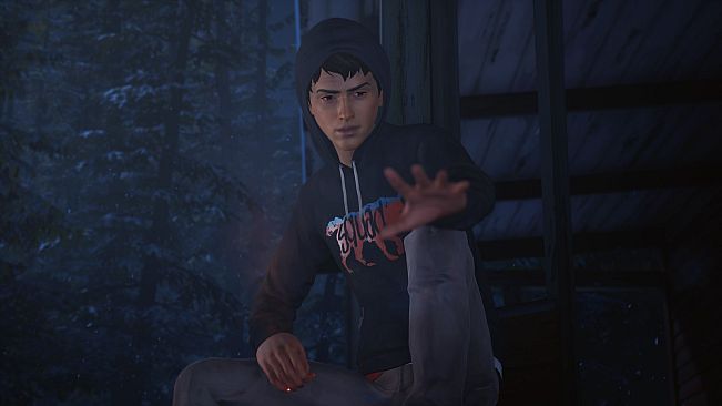 Life is Strange 2 - Complete Season