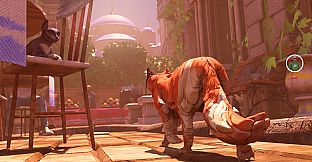 The Cat: Tales of Istanbul