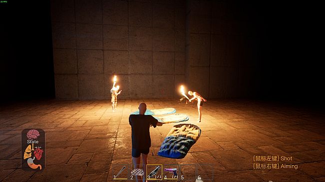 The Maze Survivor: The 9th Entrants